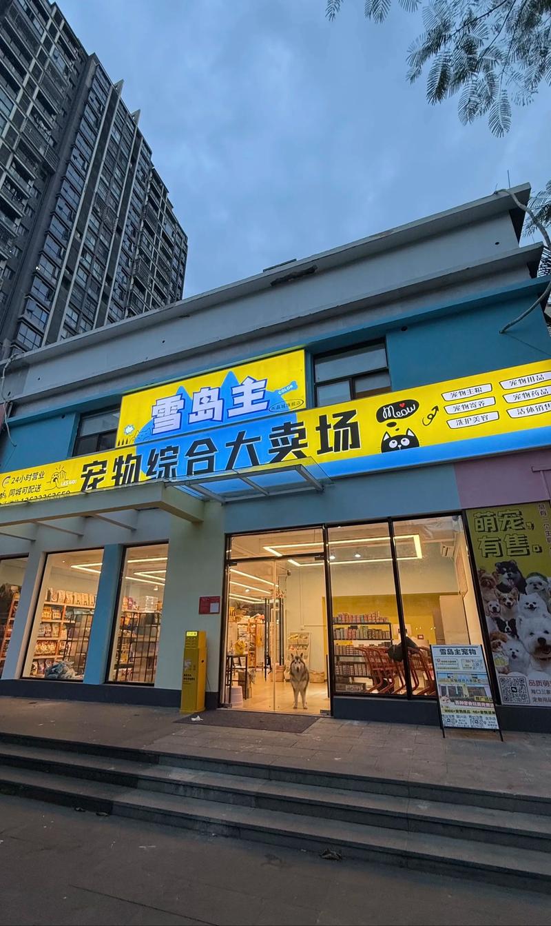 海南百货商店的变迁与发展